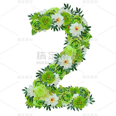 2号从绿色和白色的花孤立的白色