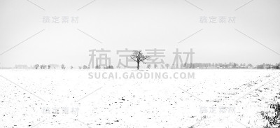 农村与雪。黑白照片
