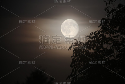 满月