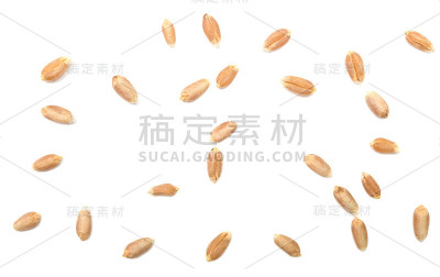 小麦谷物