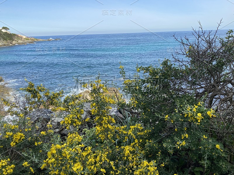 海和花在balagne