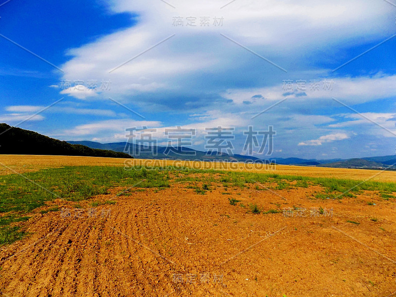 田野、森林和天空