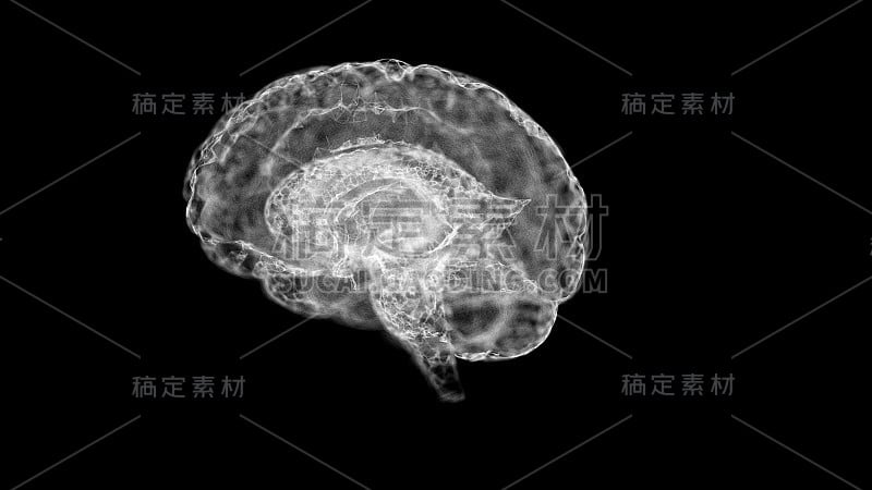 大脑因疾病或不良因素对健康的影响需要护理或治疗。