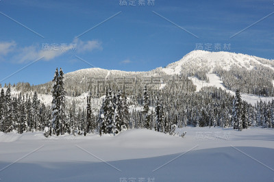 美丽的雪