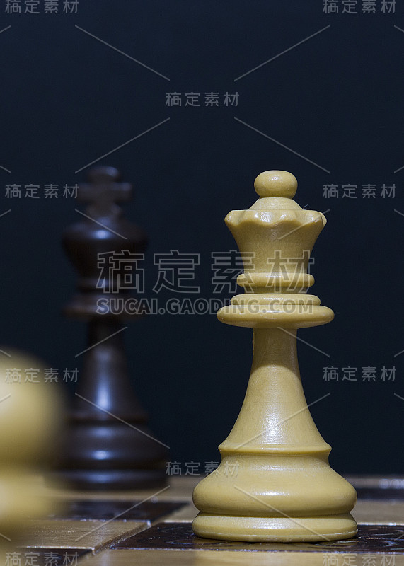 棋盘上的象棋