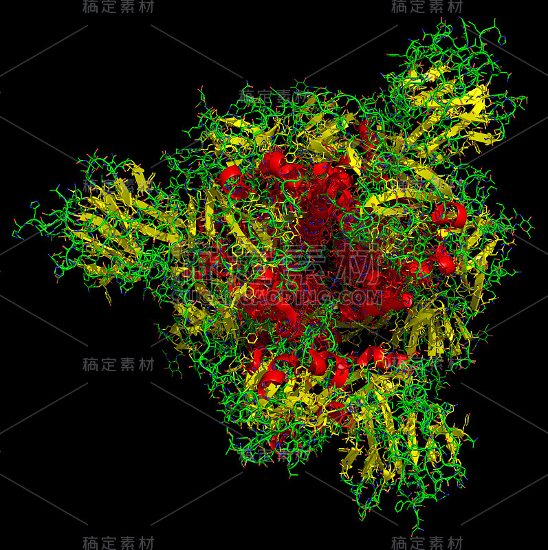 2019-nCoV冠状病毒的三维结构，新冠病毒疫苗的靶标。PDB 6 vsb