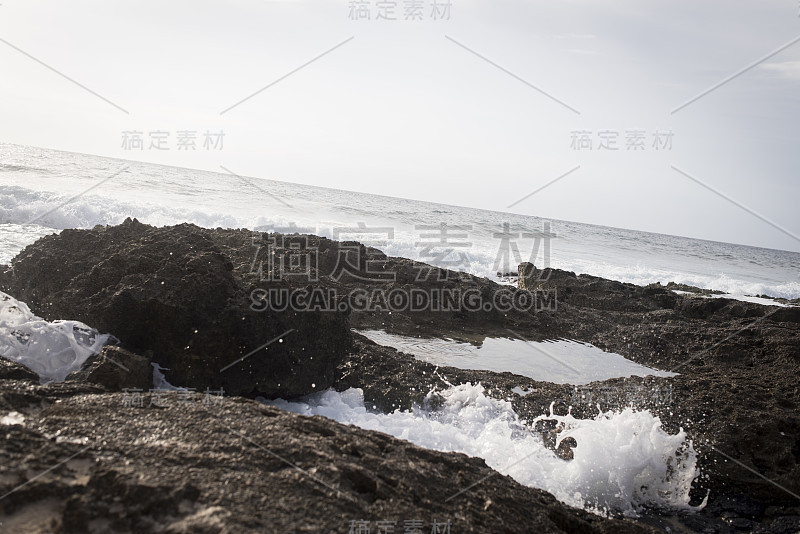 海浪冲击着多岩石的海岸