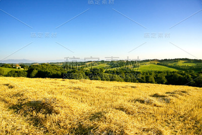 法国风景:Béarn (Orthez附近)