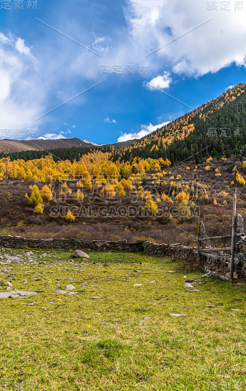 草山，灌木，景观