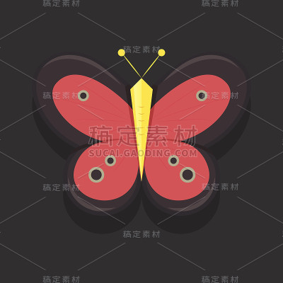 蝴蝶