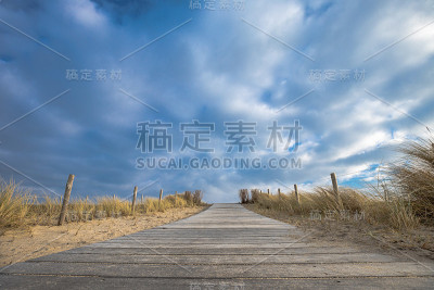 荷兰北部Petten Aan Zee沙丘中的木制小径