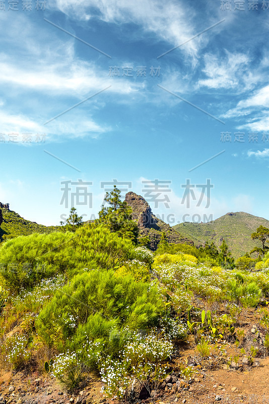 加那利群岛特内里费岛上的巴兰科德尔因菲尔诺壮丽的风景