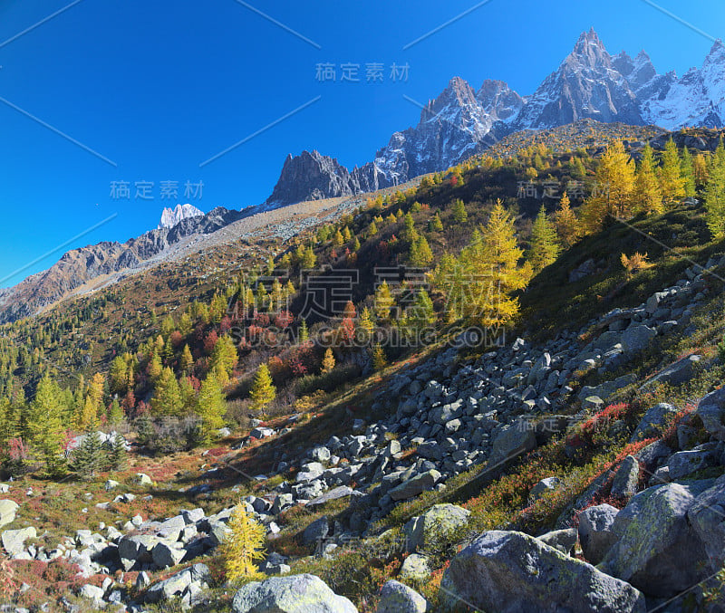 高山上的风景