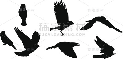 鸟儿飞翔的黑色剪影
