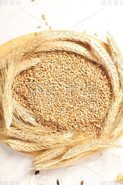 小麦小穗粒