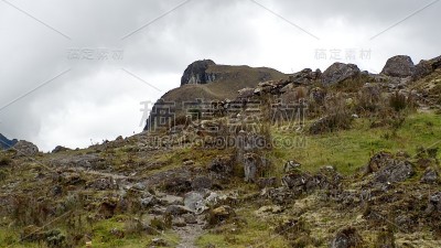 山坡上植被茂盛
