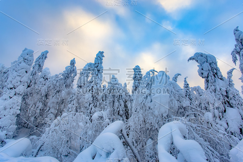 来自芬兰索特卡莫的大雪景观。