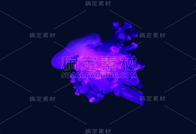 仙后座(倒置的水母)是真正的水母属，也是仙后座科唯一的成员