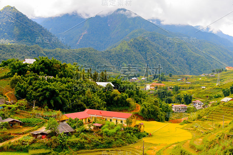 自然和美丽的山景村庄猫，越南