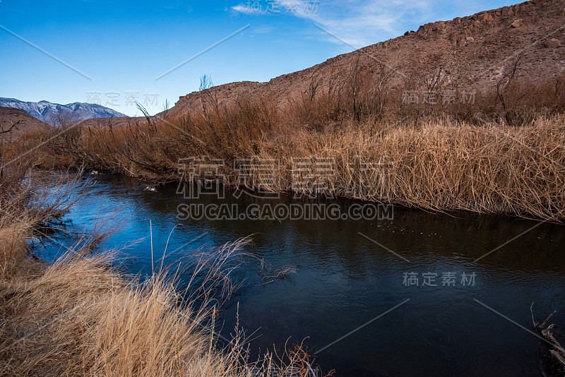 干燥的棕色芦苇沿河岸流动的水在丘陵山谷