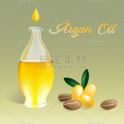 矢量插图阿甘油在一个瓶子与阿甘水果和坚果。文本摩洛哥坚果油