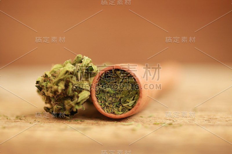 印度大麻