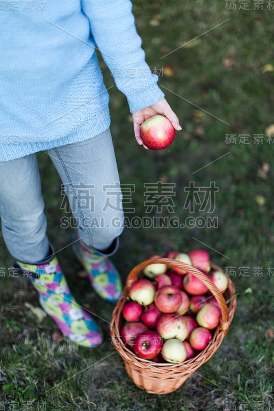 一个女人把一个苹果放进篮子里的特写镜头