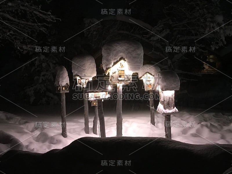 雪拉普兰的场景