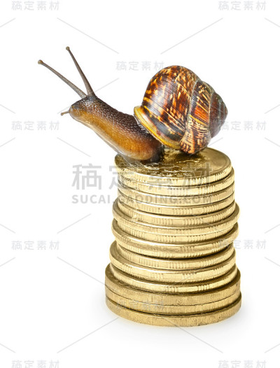 金币上的蜗牛