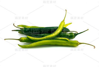 青椒分离株