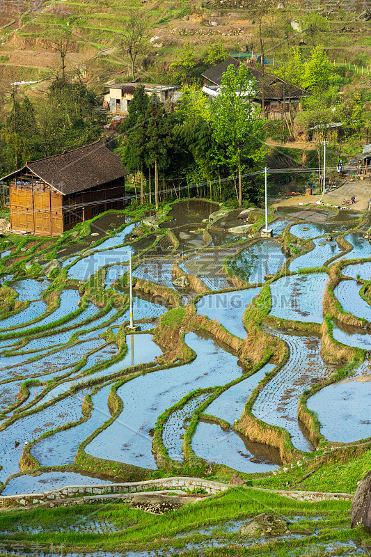 紫喜鹊梯田是中国风景区、自然文化遗产、水利风景区。