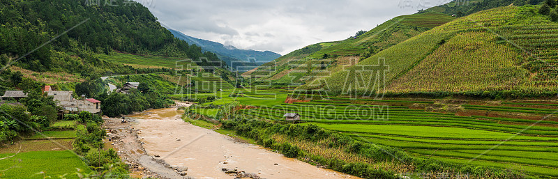 美丽的风景，绿色梯田在木仓柴