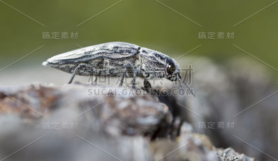 大的错误