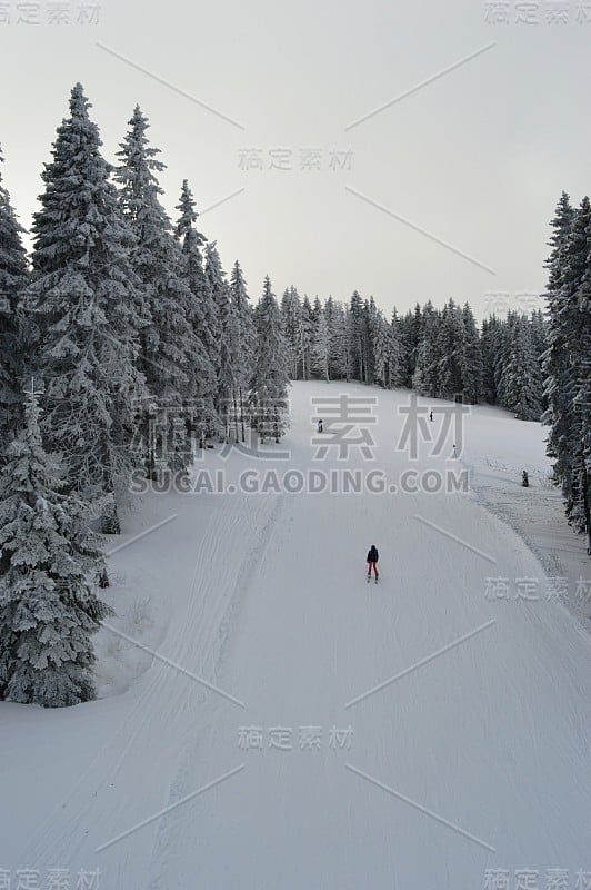 山上小径上的滑雪者