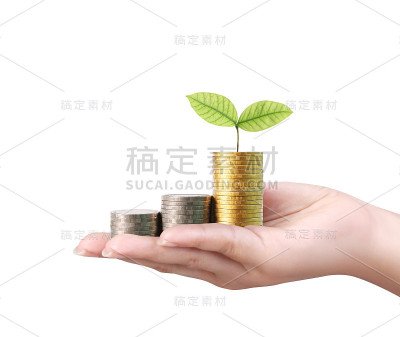 钱从手中的硬币