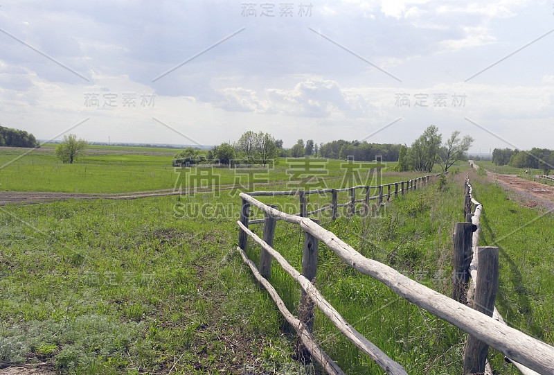 美丽的夏天的风景