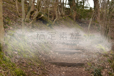 雾笼罩着徒步旅行的台阶