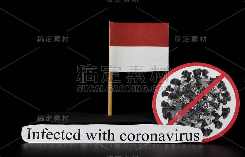 印度尼西亚是受冠状病毒影响的许多国家之一。Covid-19是一种RNA病毒，可引起人类多种疾病，主要