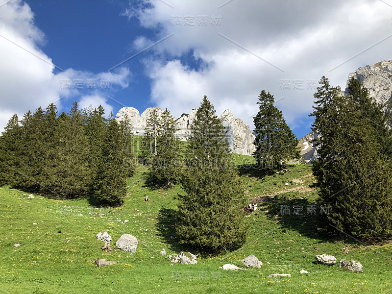 瑞士施维茨州内塔尔的瓦格塔勒尔湖(Waegitalersee)山谷中的高山牧场和草地