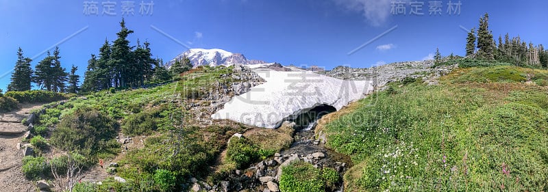 夏日雷尼尔山的美景尽收眼底