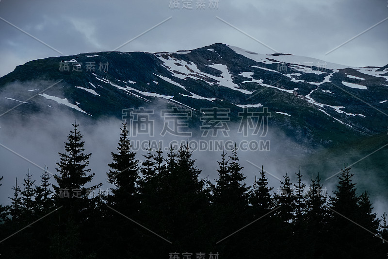 雪山中树木的剪影
