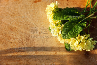 复活节的概念。樱草花黄色的樱草花在有晨曦阴影的木桌上。灵感自然的花卉，春天或夏天盛开的背景。平放俯视