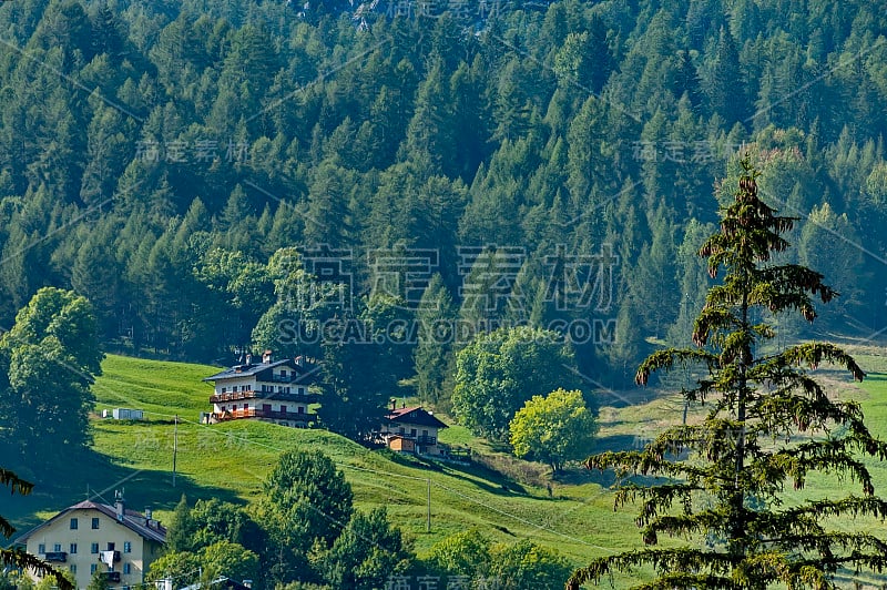 秋季corso Italia，在科尔蒂纳d'Ampezzo镇的住宅区，有草地和山，白云石，阿尔卑斯山