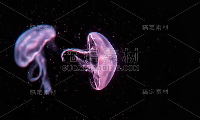 水母3