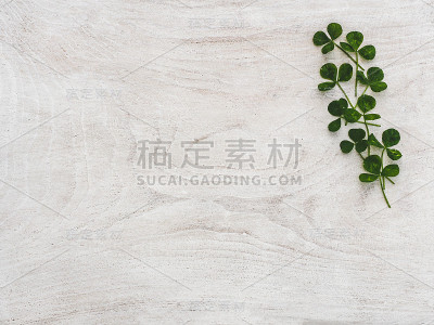 美丽的野花躺在一张木桌上