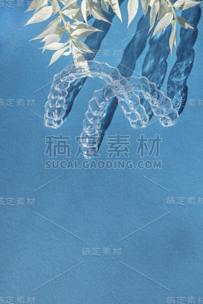 看不见的对准齿支架上的蓝色背景与花的影子