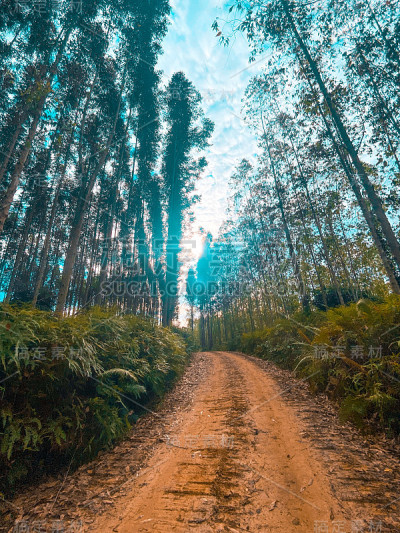 晨光
