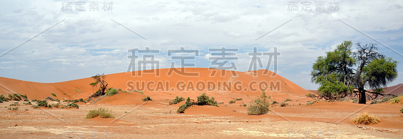 美丽的纳米布沙漠沙丘