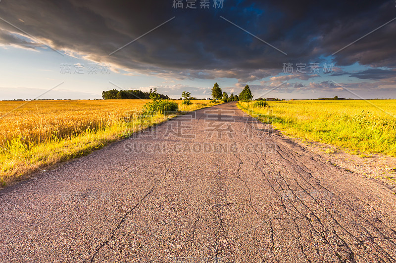 乡村夏季景观与旧柏油路