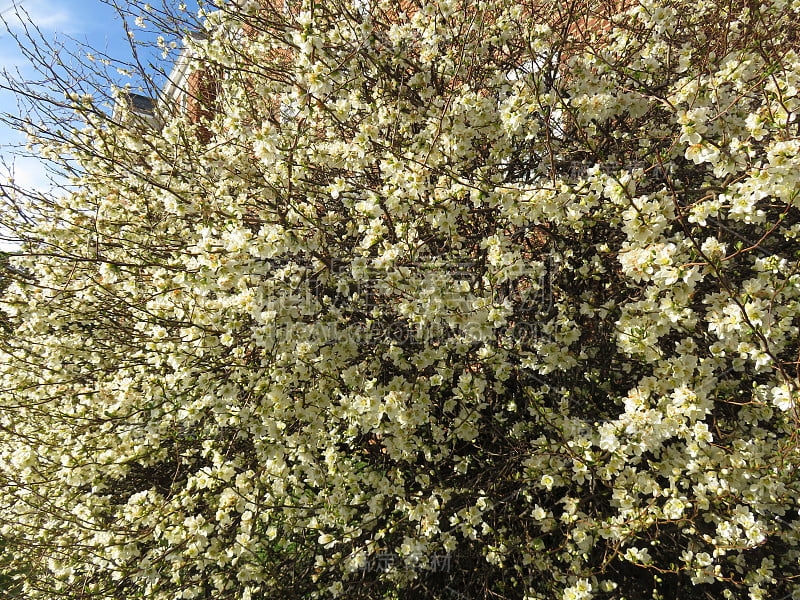 3月，春暖花开